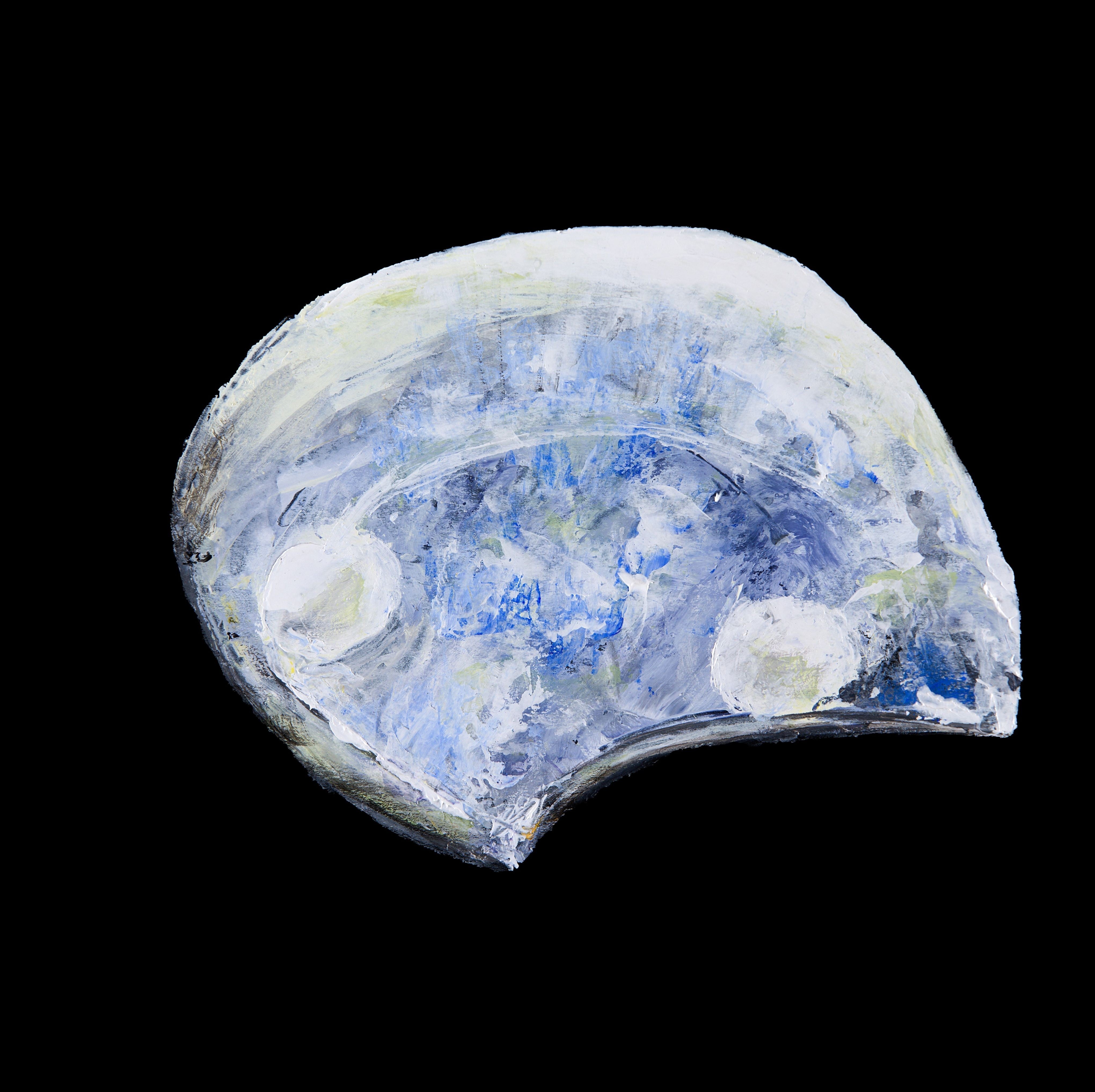 Coastal - Bill Rainey