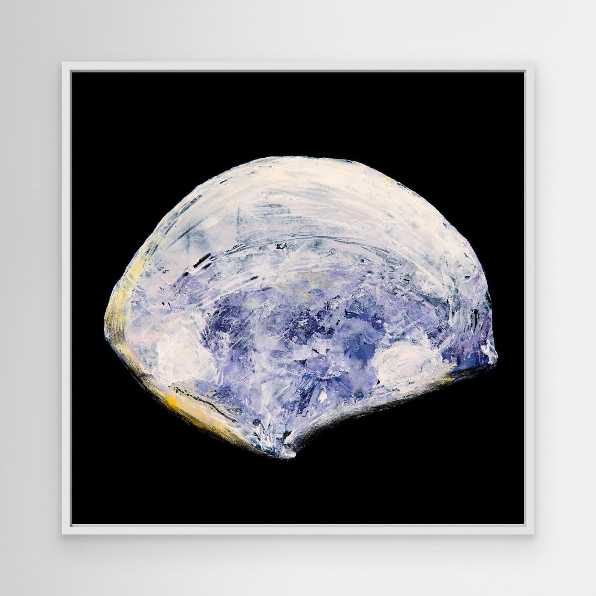 Pearly Shell 2 - Printumo