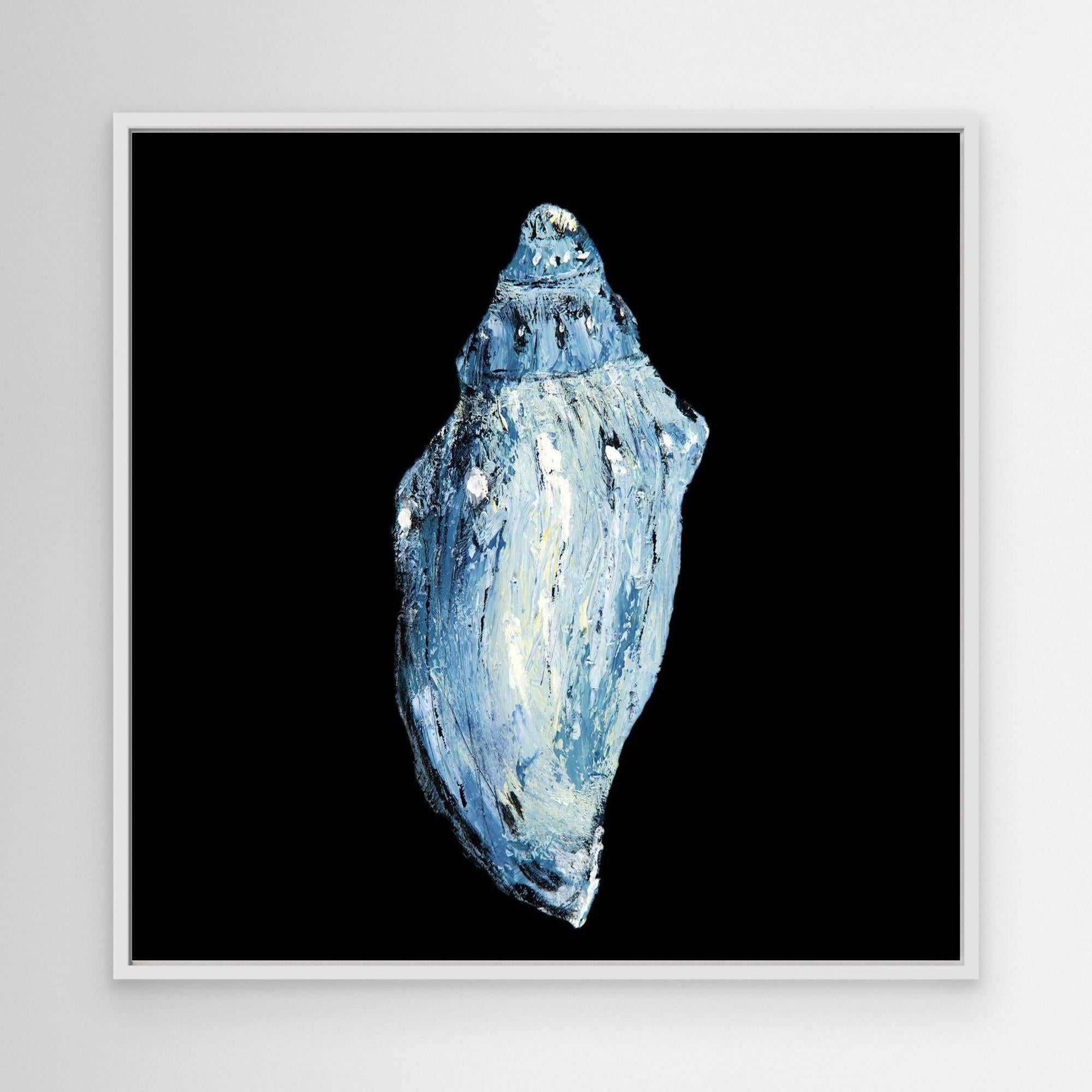 Blue Conch - Printumo